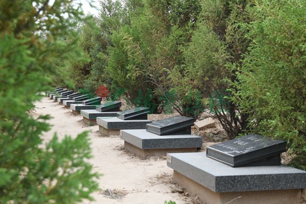 英国·威廉希尔(williamhill)唯一中文官方网站