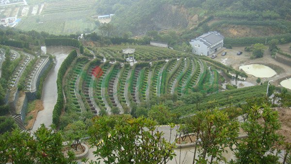 英国·威廉希尔(williamhill)唯一中文官方网站