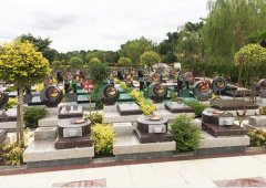 上；；；懔靶腔鹎