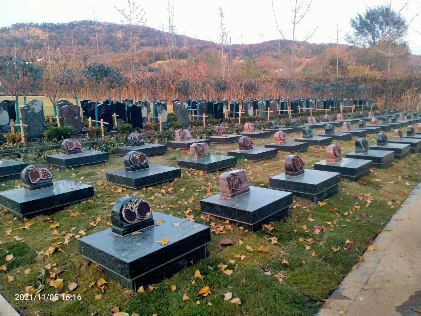 英国·威廉希尔(williamhill)唯一中文官方网站