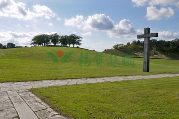 英国·威廉希尔(williamhill)唯一中文官方网站