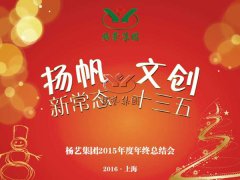 年终会：：记2015年终总结大会暨2016年妄想聚会
