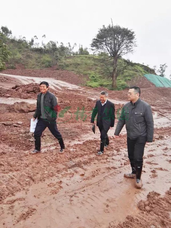 英国·威廉希尔(williamhill)唯一中文官方网站