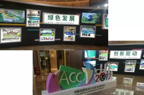 英国·威廉希尔(williamhill)唯一中文官方网站