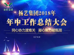 威廉希尔williamhill集团2018年中总结报告（摘要）