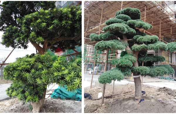 英国·威廉希尔(williamhill)唯一中文官方网站