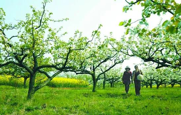 英国·威廉希尔(williamhill)唯一中文官方网站