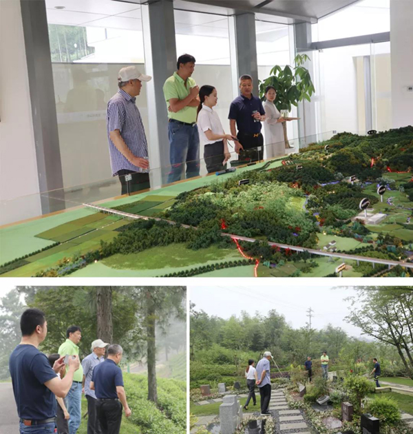 英国·威廉希尔(williamhill)唯一中文官方网站