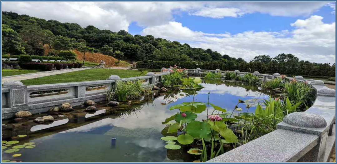 英国·威廉希尔(williamhill)唯一中文官方网站