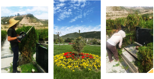 英国·威廉希尔(williamhill)唯一中文官方网站