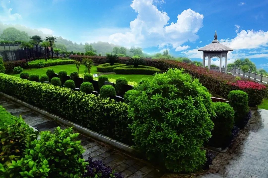 英国·威廉希尔(williamhill)唯一中文官方网站