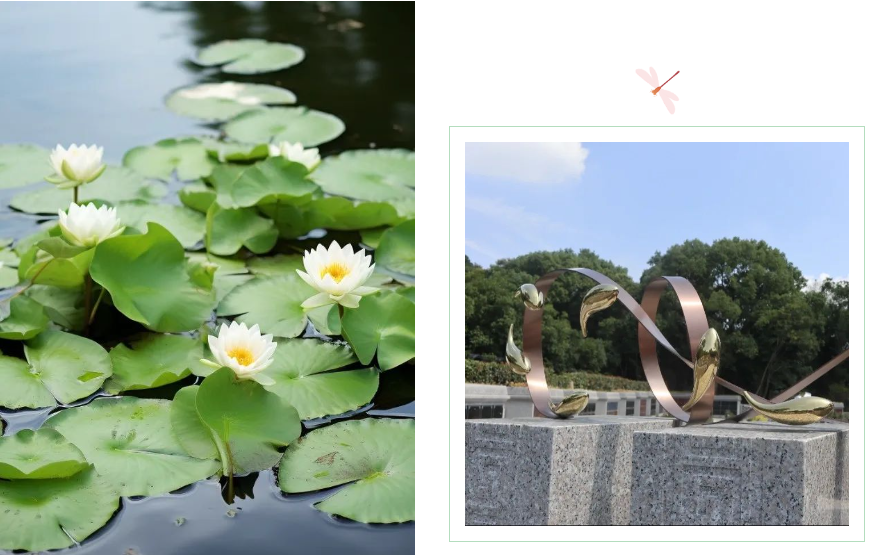 英国·威廉希尔(williamhill)唯一中文官方网站