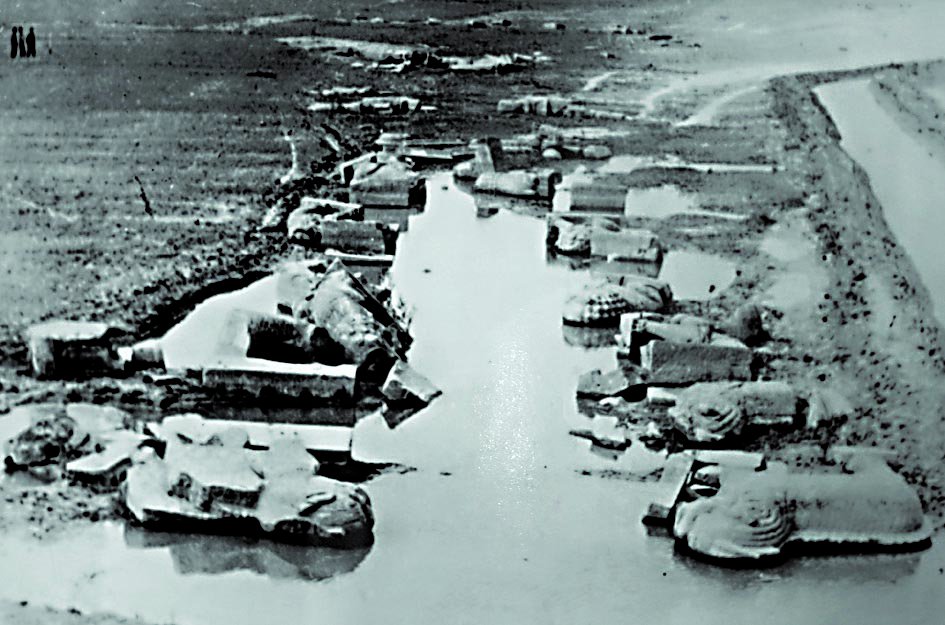 英国·威廉希尔(williamhill)唯一中文官方网站