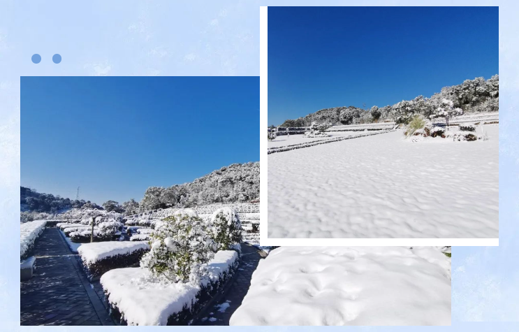 英国·威廉希尔(williamhill)唯一中文官方网站