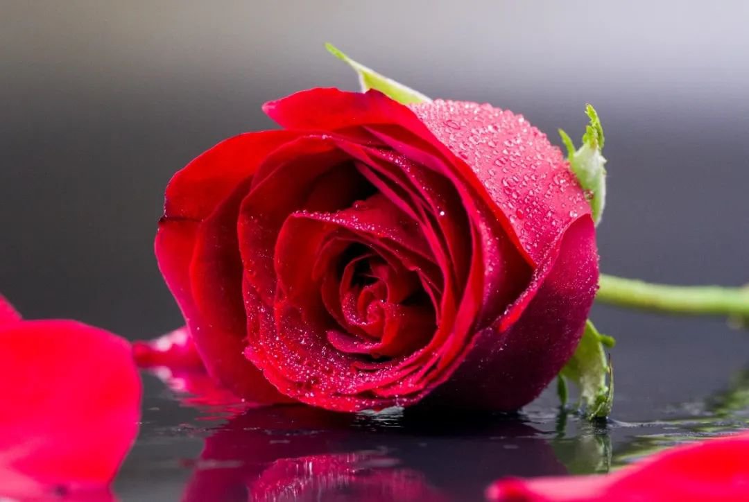 女神节 | 致敬“她”实力，共筑优美未来