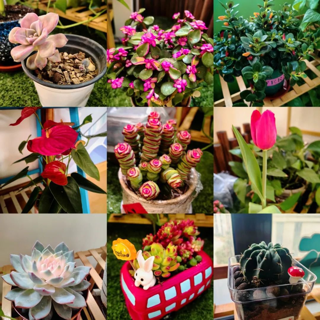 英国·威廉希尔(williamhill)唯一中文官方网站