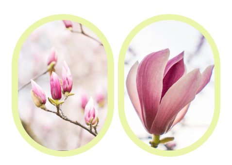 英国·威廉希尔(williamhill)唯一中文官方网站