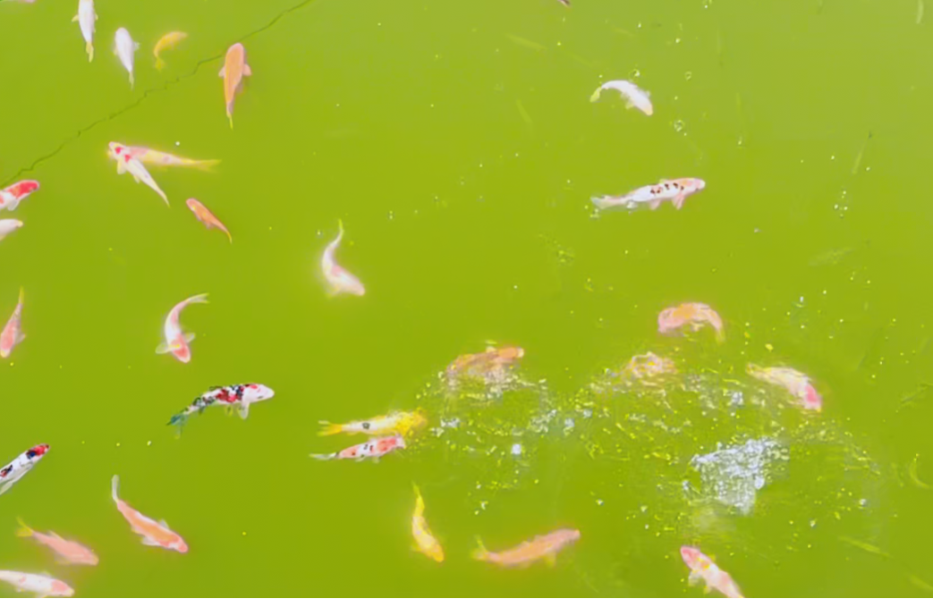 英国·威廉希尔(williamhill)唯一中文官方网站