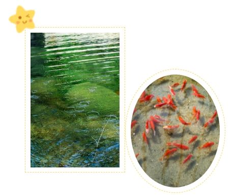 英国·威廉希尔(williamhill)唯一中文官方网站