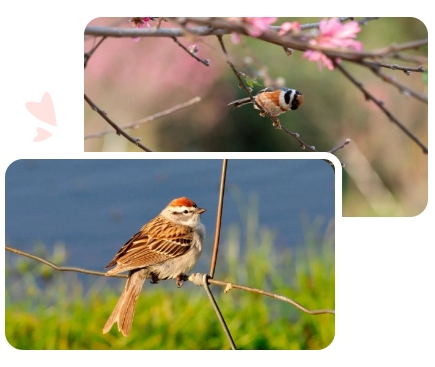 英国·威廉希尔(williamhill)唯一中文官方网站