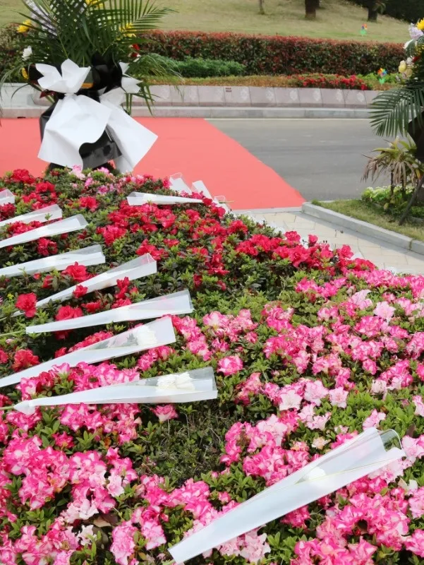 英国·威廉希尔(williamhill)唯一中文官方网站