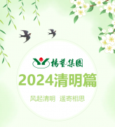 风起清明 遥寄相思|威廉希尔williamhill集团?2024清明篇