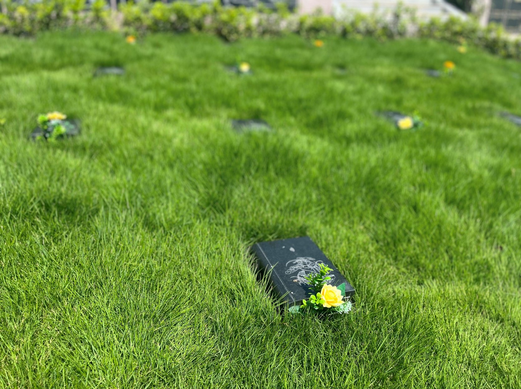 英国·威廉希尔(williamhill)唯一中文官方网站