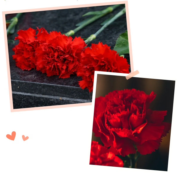 英国·威廉希尔(williamhill)唯一中文官方网站