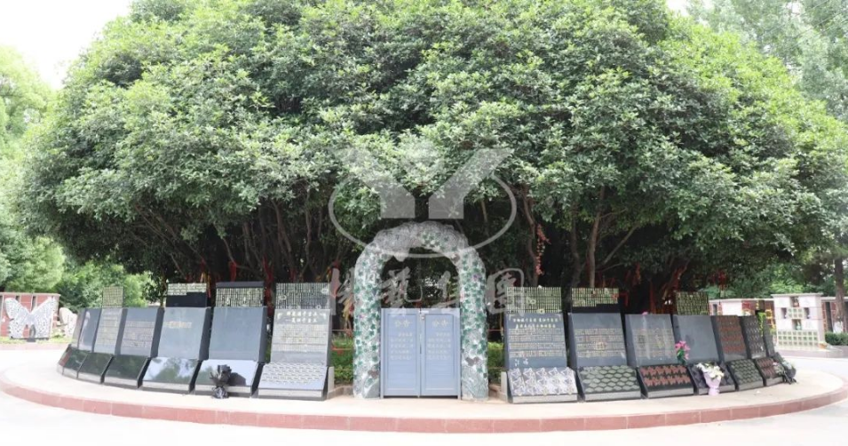 英国·威廉希尔(williamhill)唯一中文官方网站