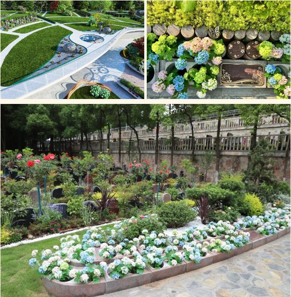 英国·威廉希尔(williamhill)唯一中文官方网站