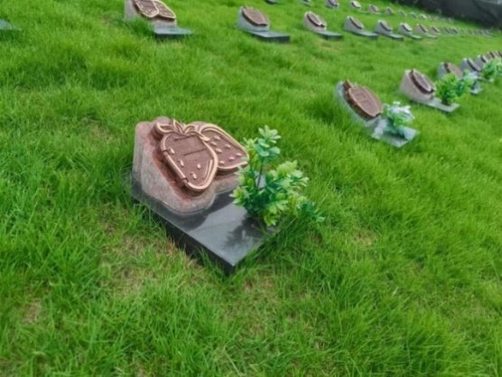 英国·威廉希尔(williamhill)唯一中文官方网站