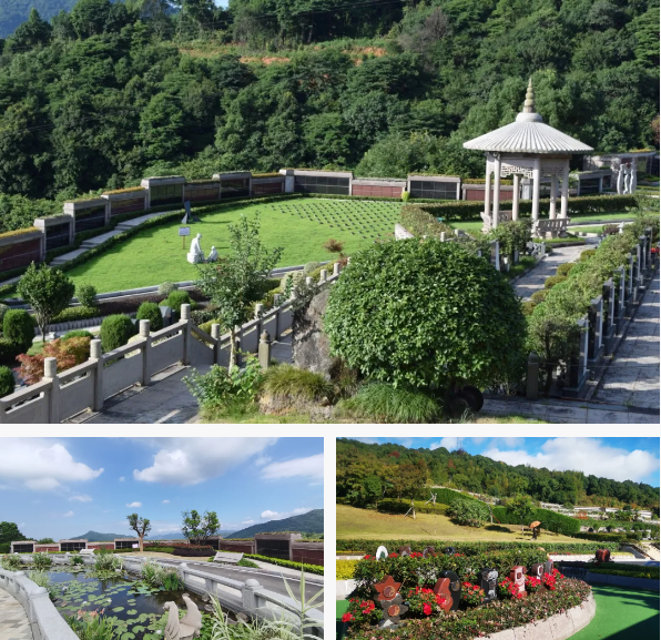 英国·威廉希尔(williamhill)唯一中文官方网站