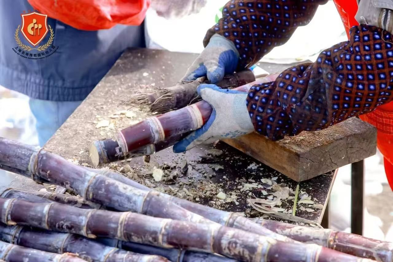 英国·威廉希尔(williamhill)唯一中文官方网站