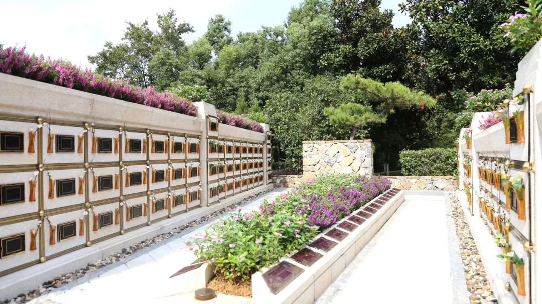 <b>在合肥大蜀山文化陵园，与生命温柔对话</b>