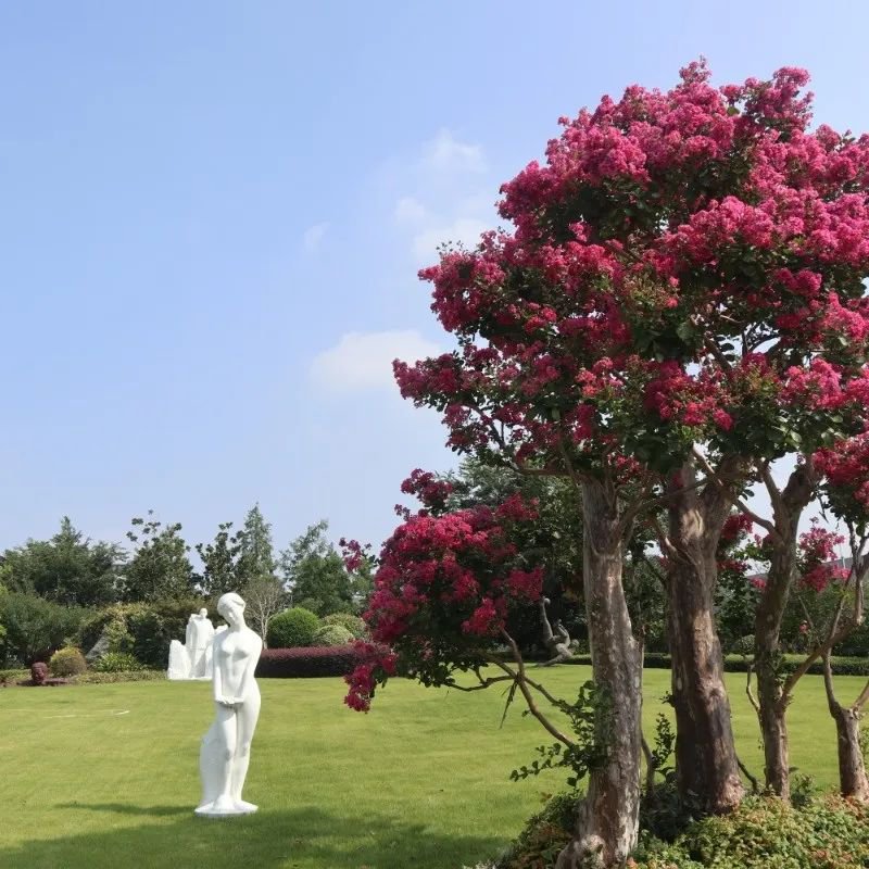 英国·威廉希尔(williamhill)唯一中文官方网站