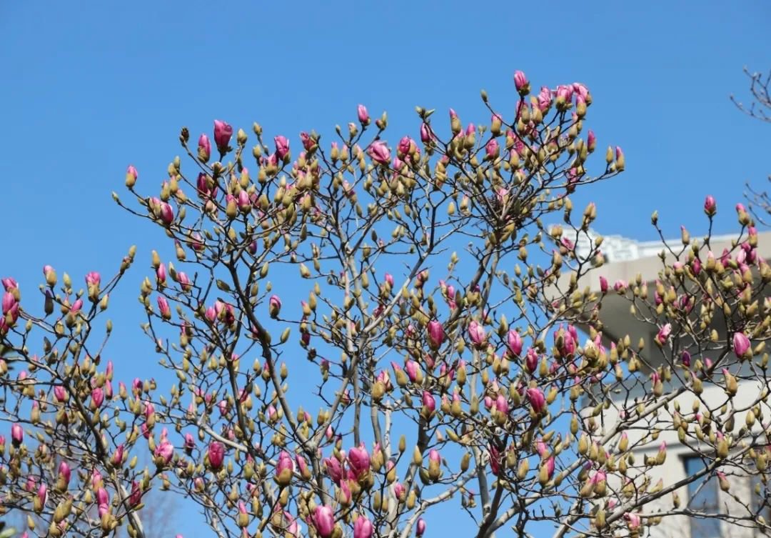 英国·威廉希尔(williamhill)唯一中文官方网站