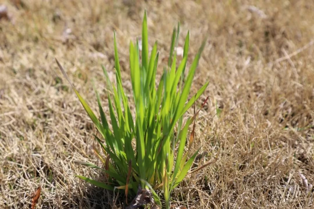 英国·威廉希尔(williamhill)唯一中文官方网站