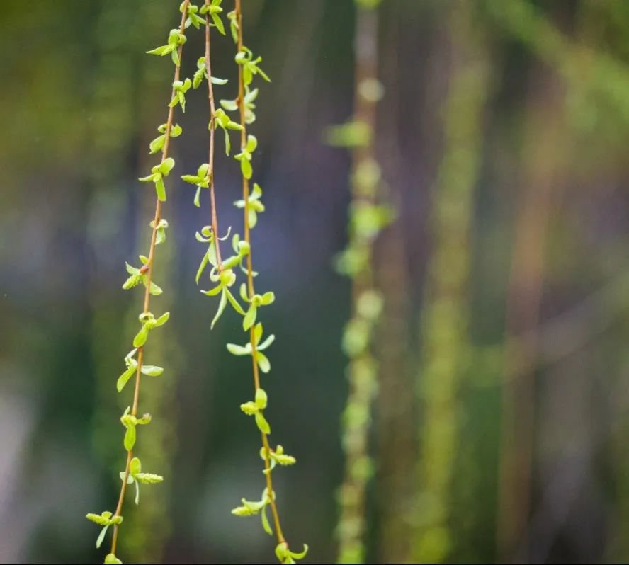 英国·威廉希尔(williamhill)唯一中文官方网站