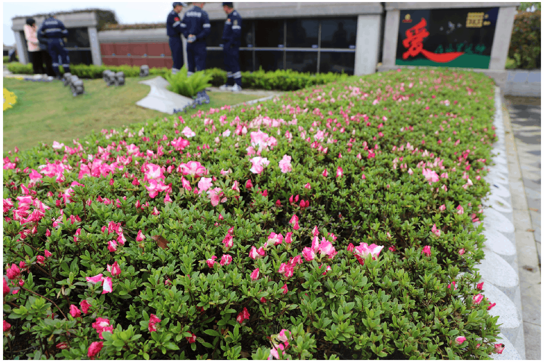 英国·威廉希尔(williamhill)唯一中文官方网站