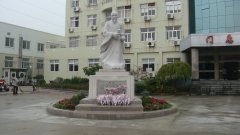 石雕匠心，镌刻医者风华