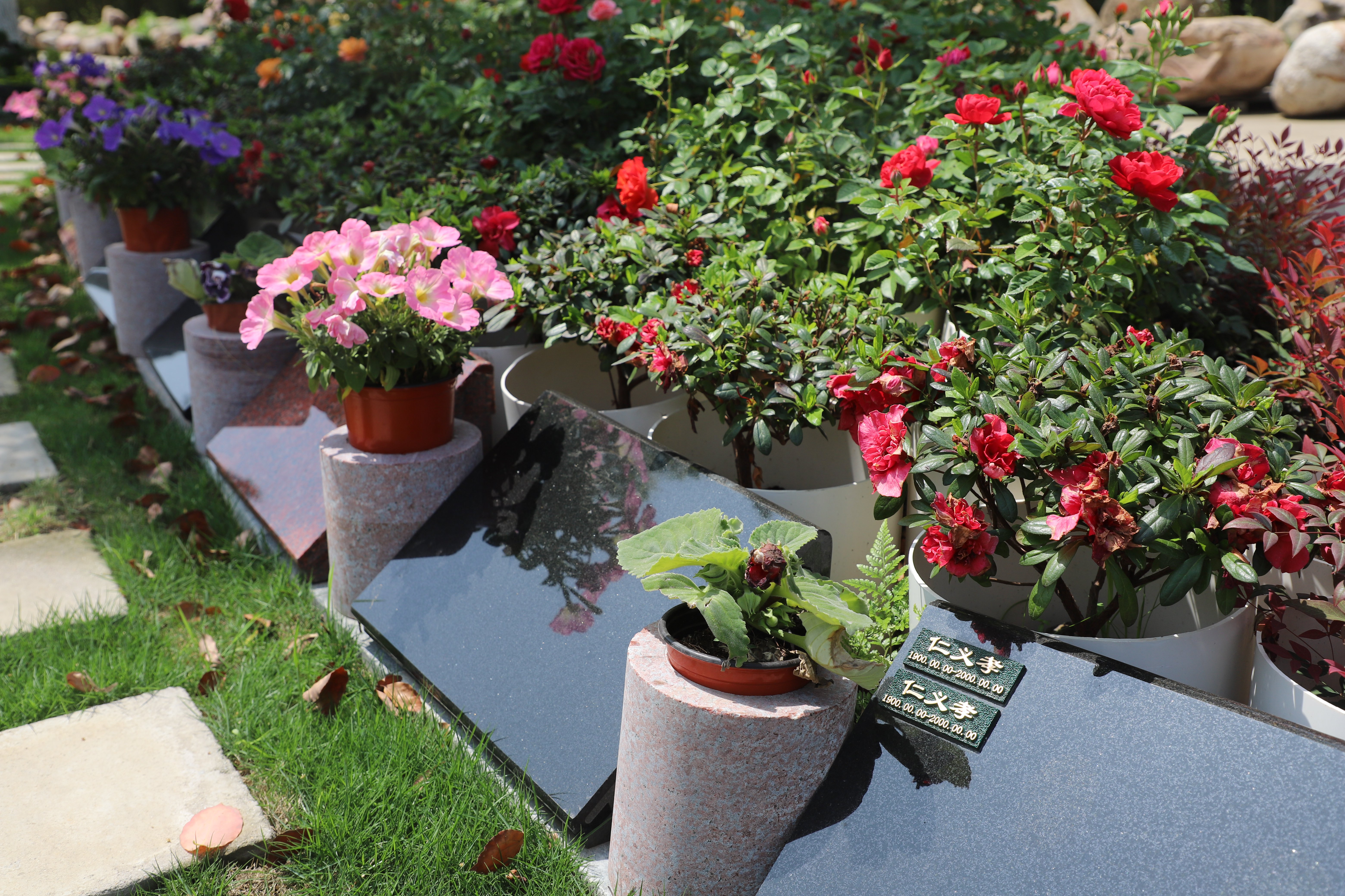 英国·威廉希尔(williamhill)唯一中文官方网站