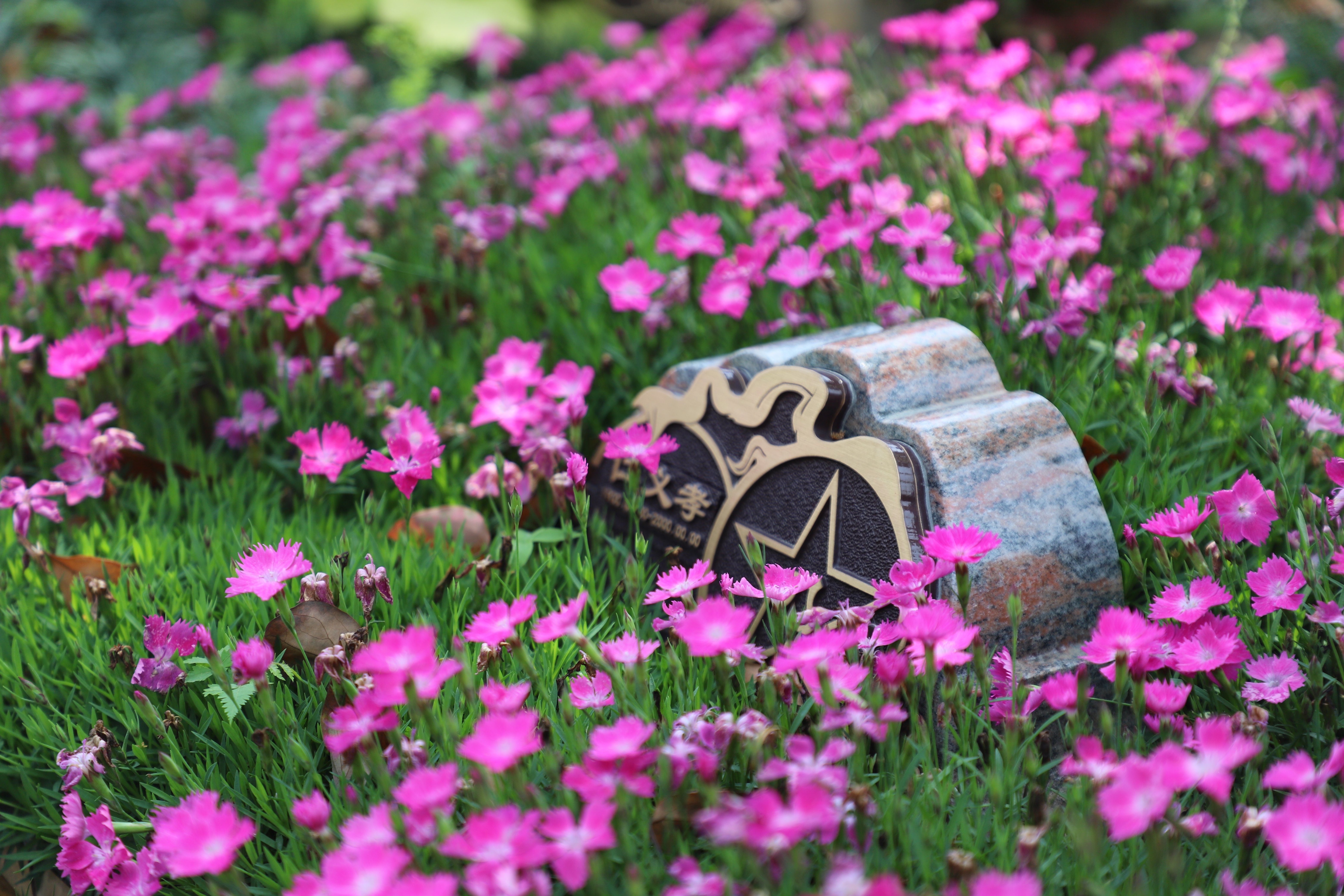 英国·威廉希尔(williamhill)唯一中文官方网站