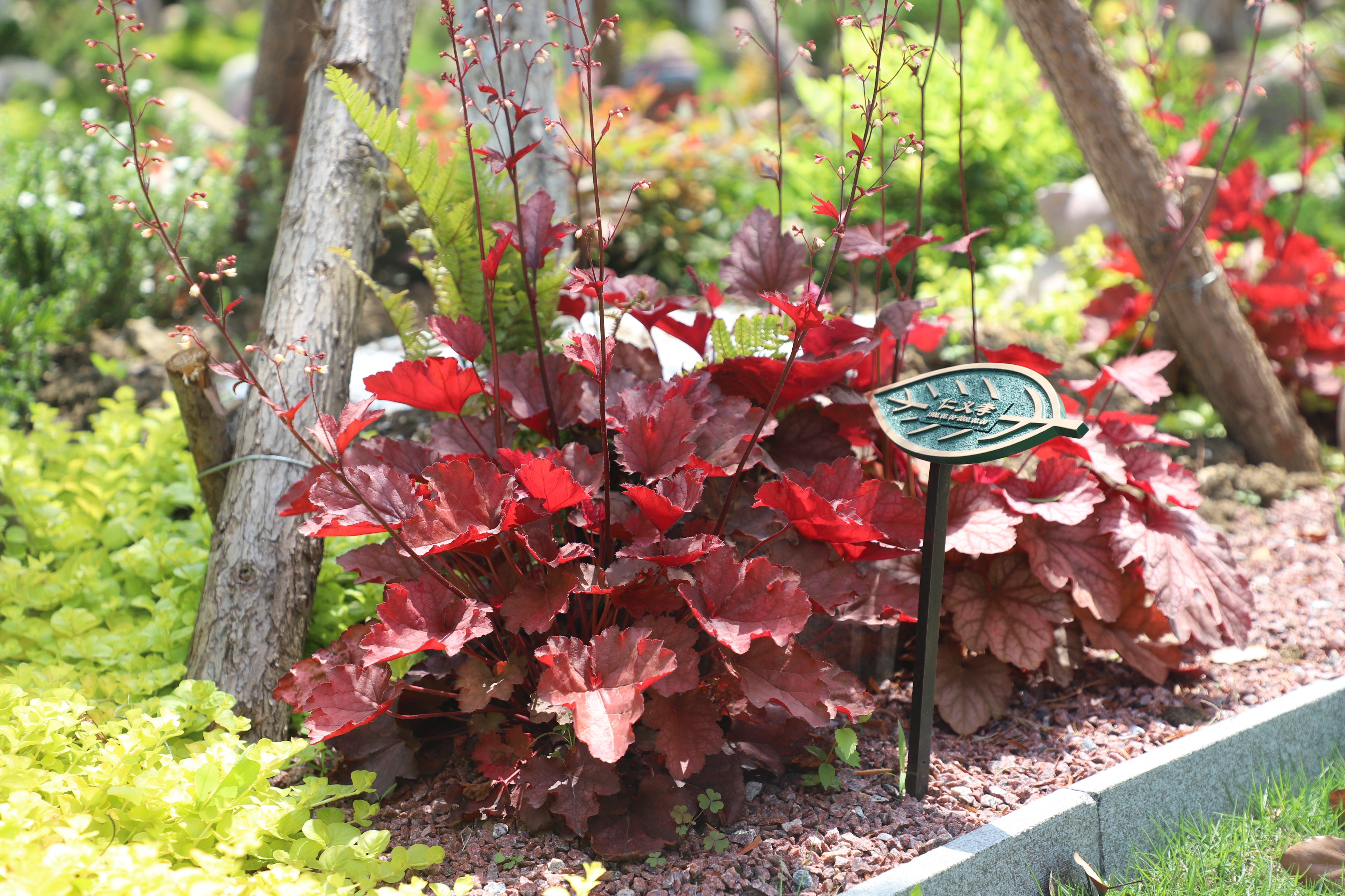 英国·威廉希尔(williamhill)唯一中文官方网站