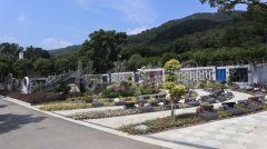 生态葬，，，让生命在绿意中永恒