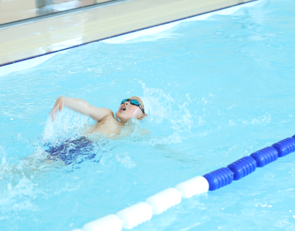 英国·威廉希尔(williamhill)唯一中文官方网站