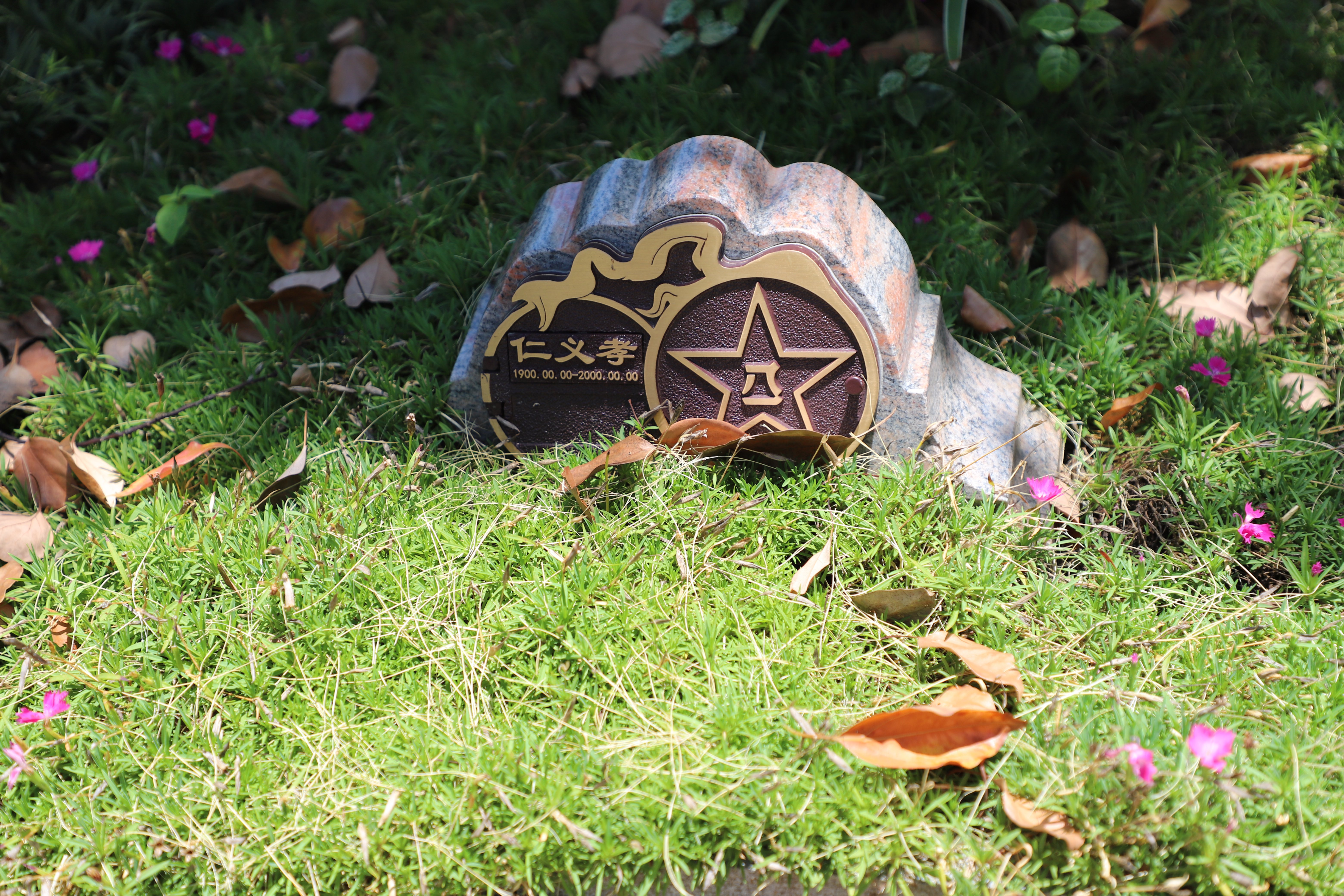 英国·威廉希尔(williamhill)唯一中文官方网站