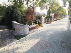 都会最后一平米：：：生态葬，，是与自然的息争？？？照旧无奈的选择？？？