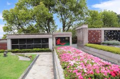 归于自然，，泽被后世：：：解读现代生态葬及其立异趋势