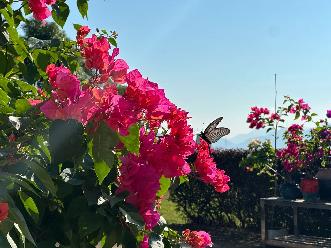 英国·威廉希尔(williamhill)唯一中文官方网站