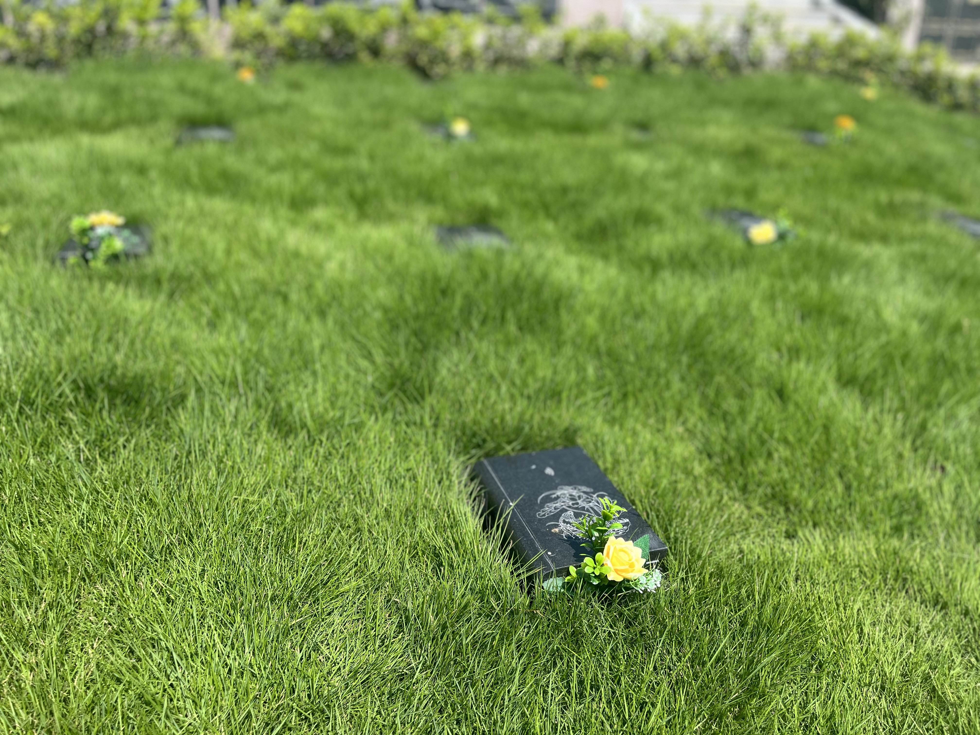 英国·威廉希尔(williamhill)唯一中文官方网站